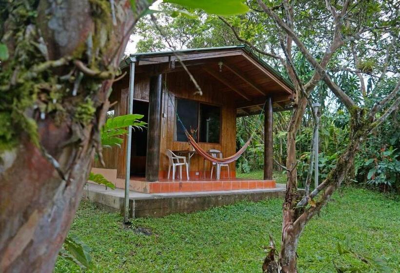 Családi Bungalow, Mindo Real