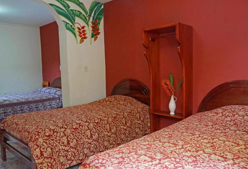 패밀리 룸, Mindo Real