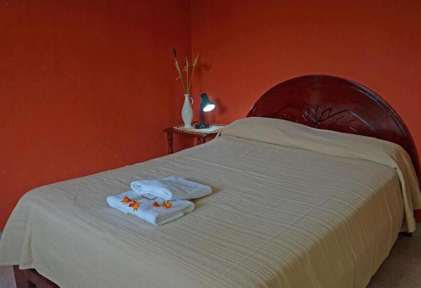 庭の見えるシングルルーム, Mindo Real