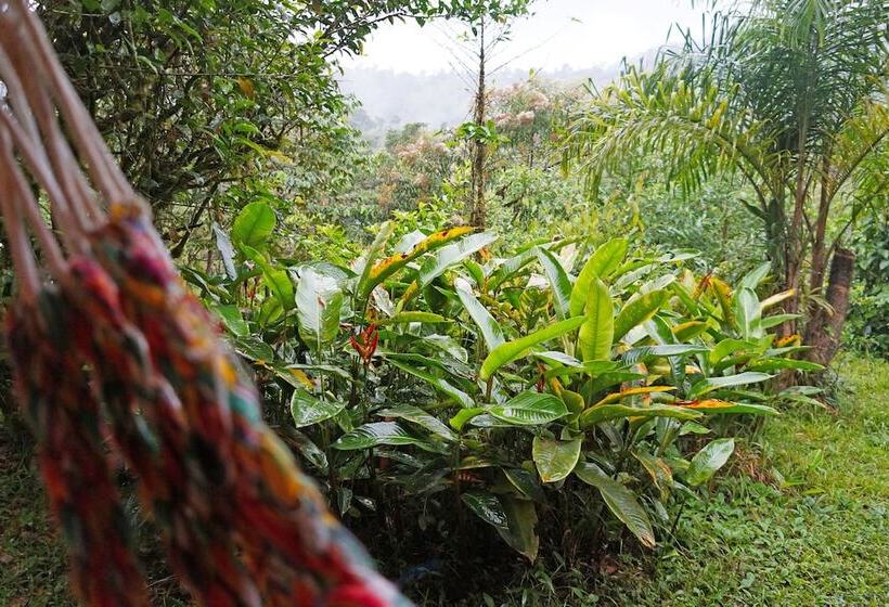 キャビン, Mindo Real