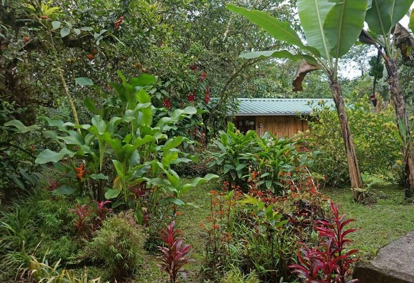 キャビン, Mindo Real