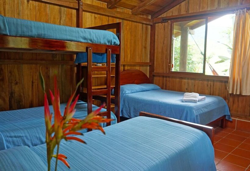 오두막, Mindo Real