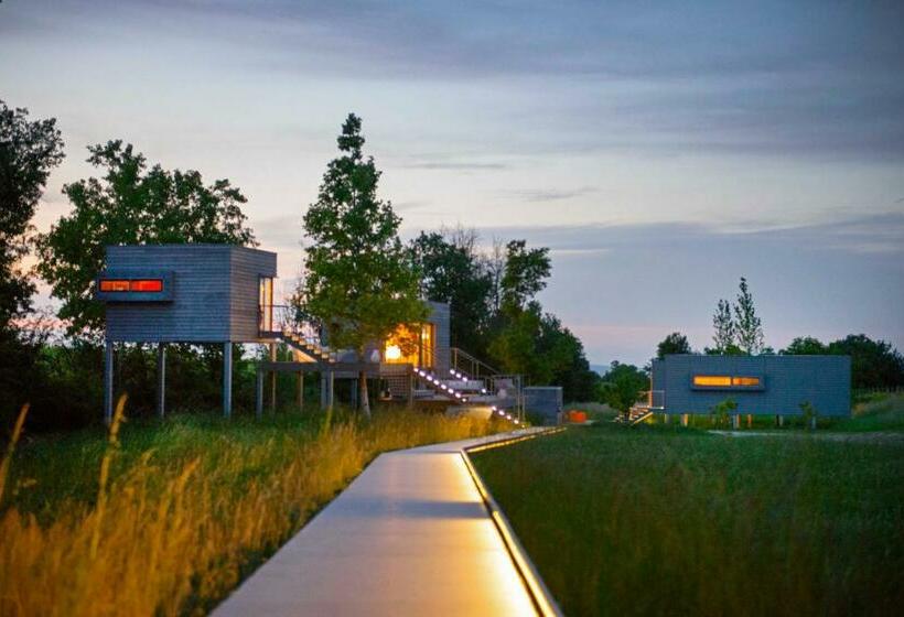 테라스 디럭스 룸, Eco Bio Agriturismo La Bella Vite