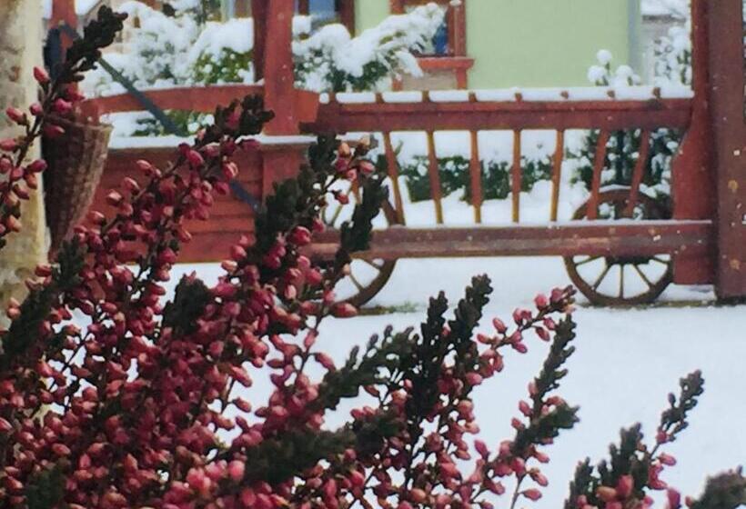 スーペリアールーム, Holiday Resort švárny