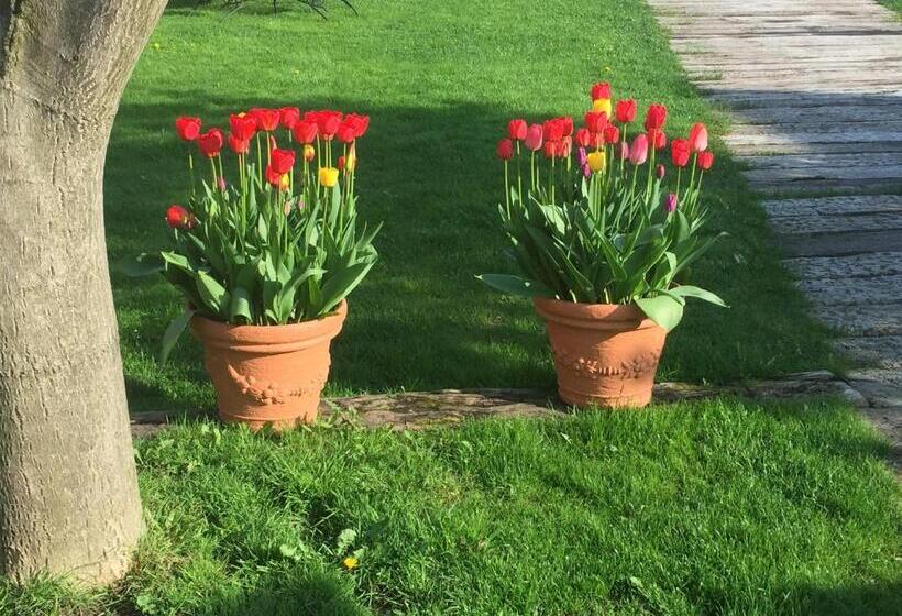 ファミリールーム, Holiday Resort švárny