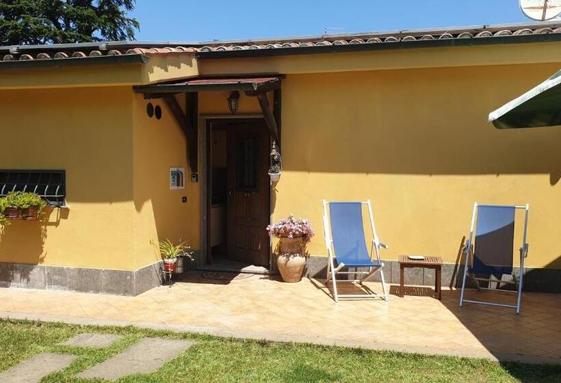 חדר סטנדרט, L Antico Vigneto