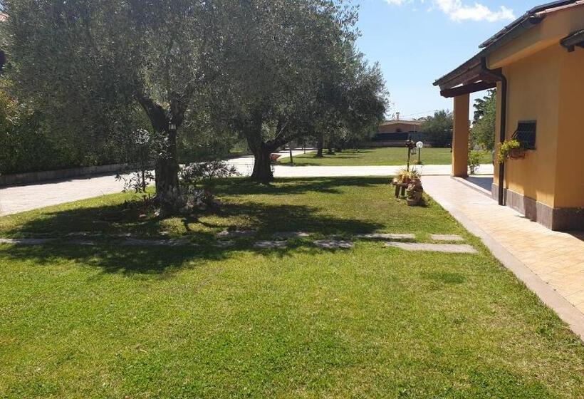 חדר סטנדרט, L Antico Vigneto