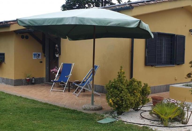 חדר סטנדרט, L Antico Vigneto