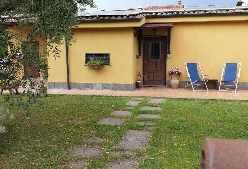 חדר סטנדרט, L Antico Vigneto