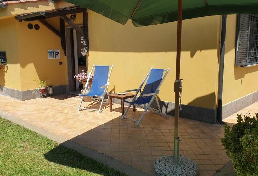 חדר סטנדרט, L Antico Vigneto