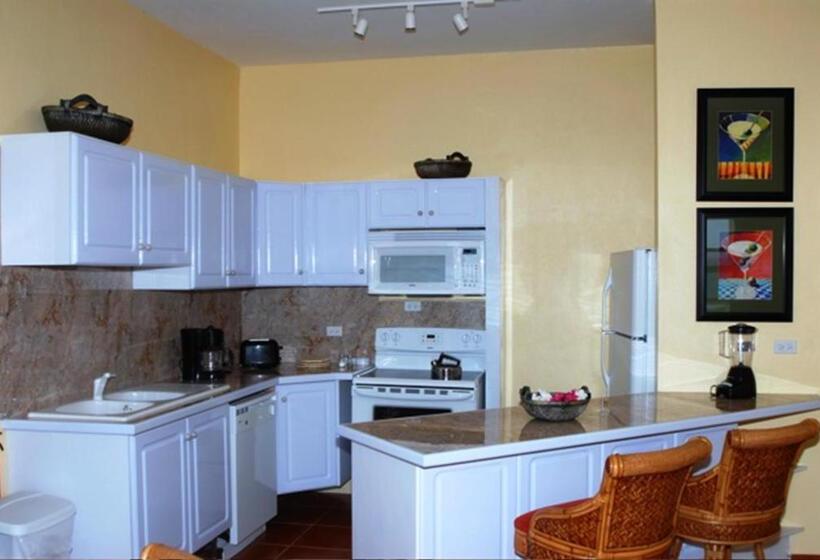 آپارتمان 2 خوابه, Ocean Terrace Condominiums