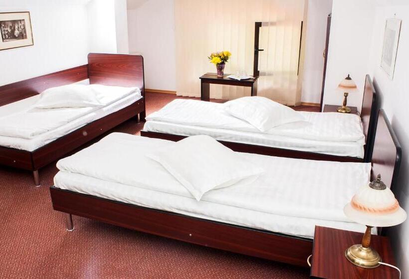 غرفة قياسية ثلاثية, Pensiunea Boema