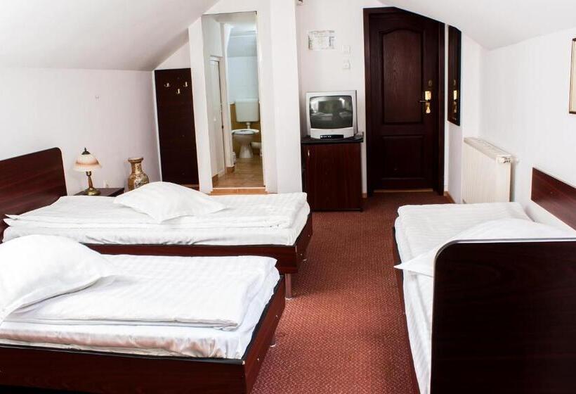 Номер Стандарт Трехместный, Pensiunea Boema