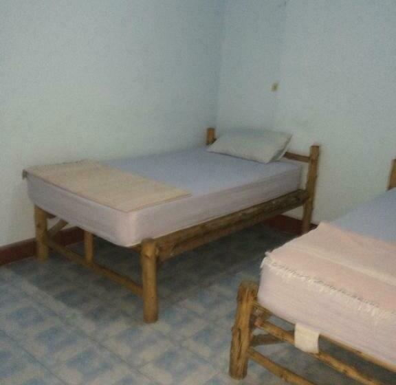 经济房, Kiwi Orchid & Pl Guesthouse