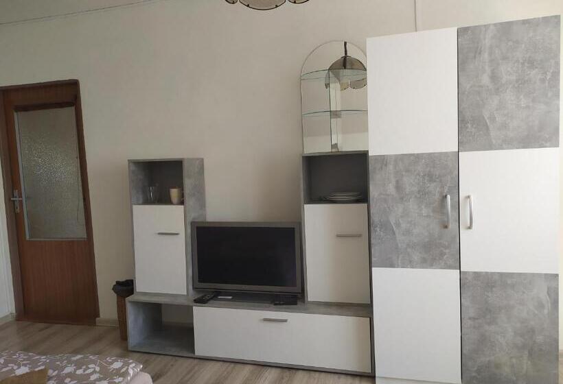 اتاق استاندارد با سرویس بهداشتی مشترک, Penzion Renata