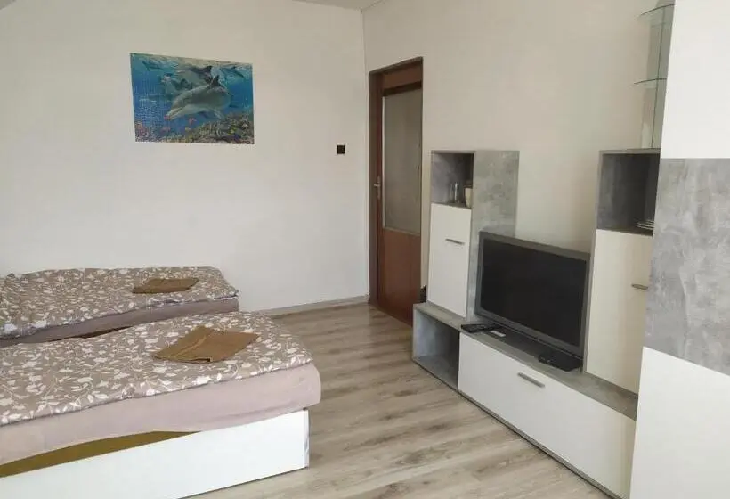 اتاق استاندارد با سرویس بهداشتی مشترک, Penzion Renata