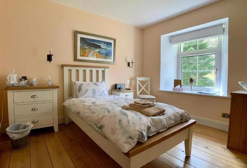 スタンダードシングルルーム, Ewich House B&b