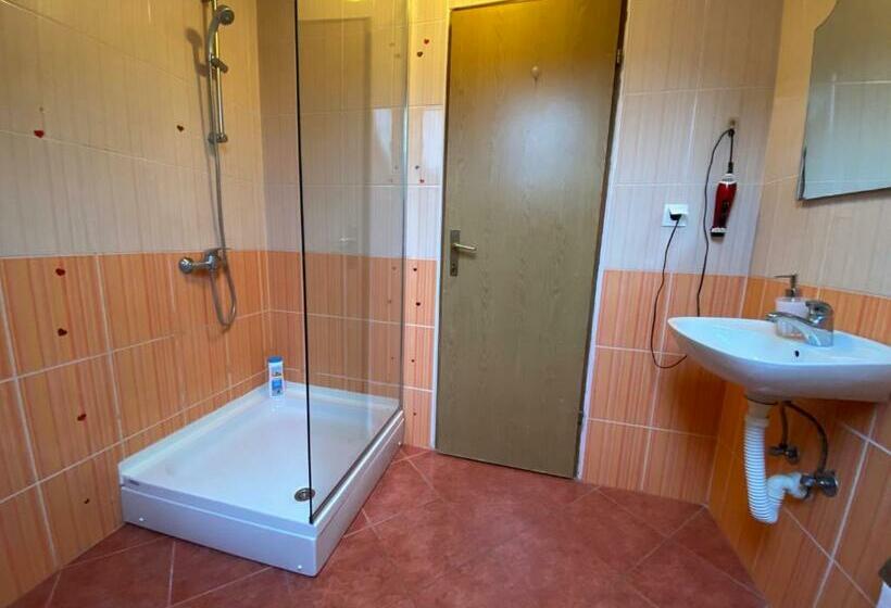اتاق استاندارد با سرویس بهداشتی مشترک, Guest House Kevser