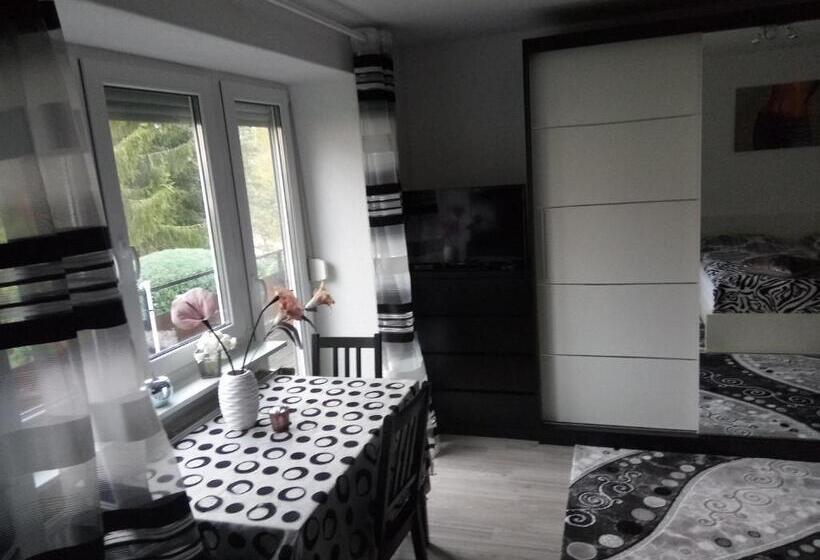 バルコニー付きスタンダードルーム, Harzpension Haus Königskopf