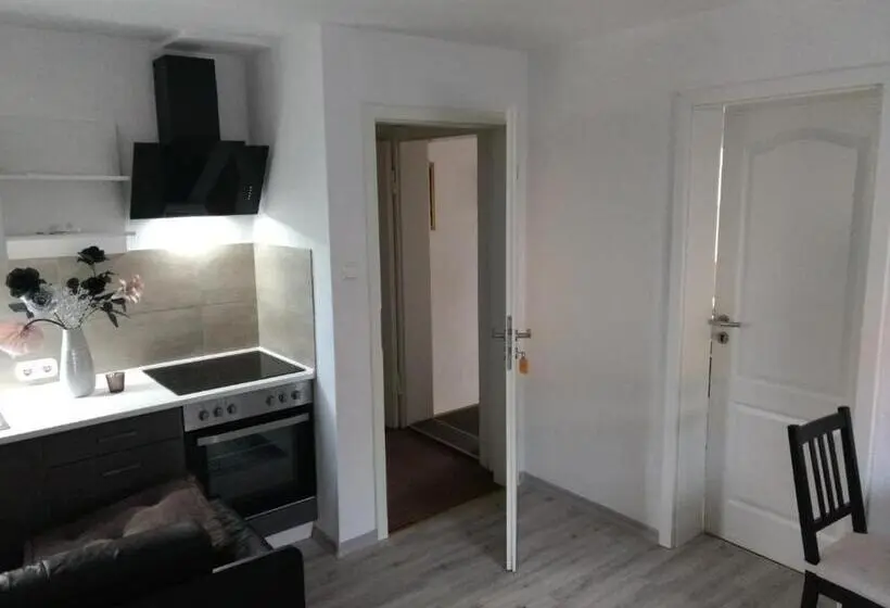 آپارتمان سوپریور 1 خوابه, Harzpension Haus Königskopf