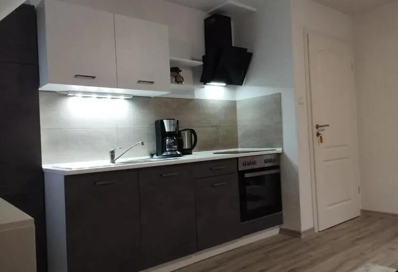 آپارتمان سوپریور 1 خوابه, Harzpension Haus Königskopf