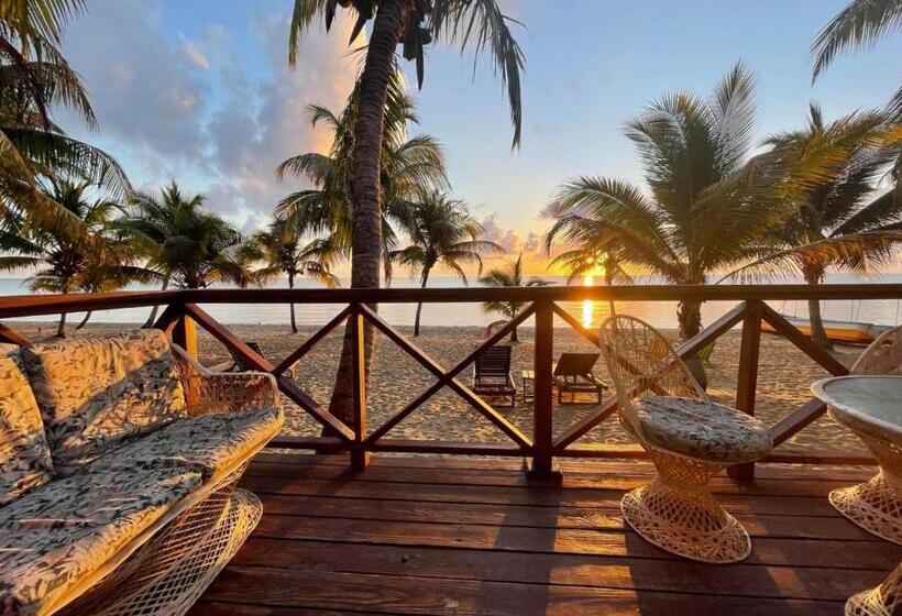 דירת שני חדרים, Coconut Row Boutique