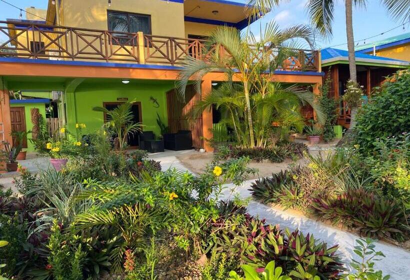 דירת 2 חדרים נוף לים, Coconut Row Boutique