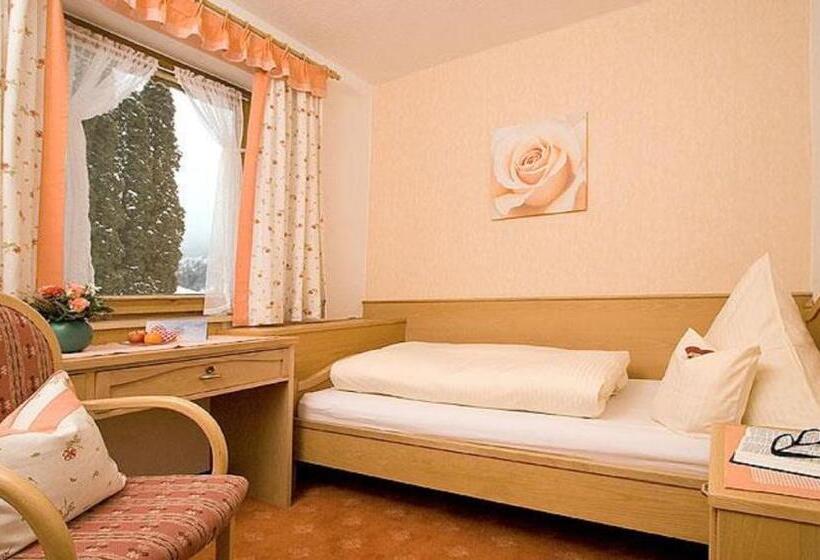 スタンダードシングルルーム, Pension Alpenblick