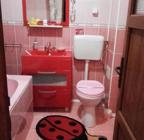 スタンダードルーム, Pensiunea Alexandra & Diego