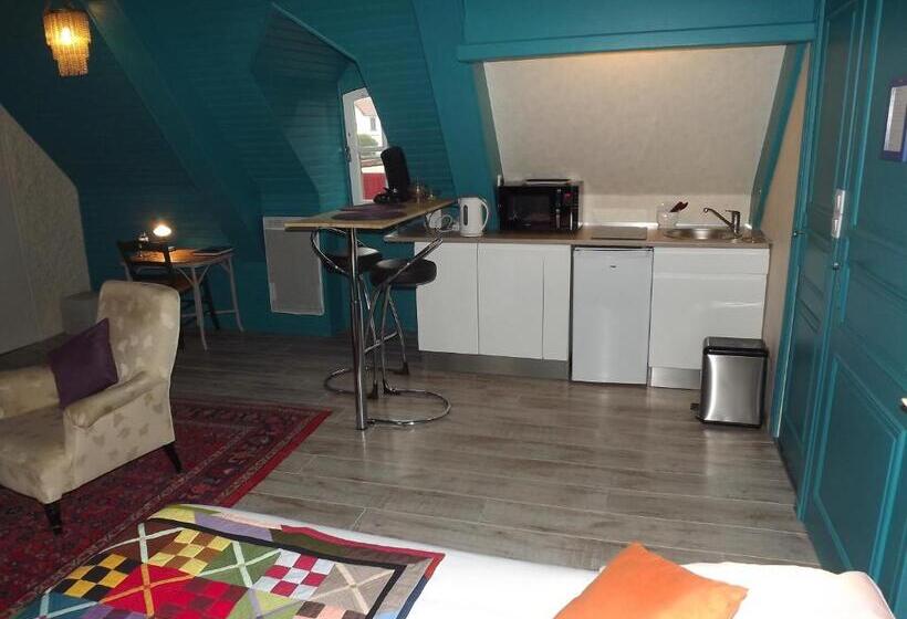 استودیوی استاندارد, Appart Hotel Maison Saint Michel