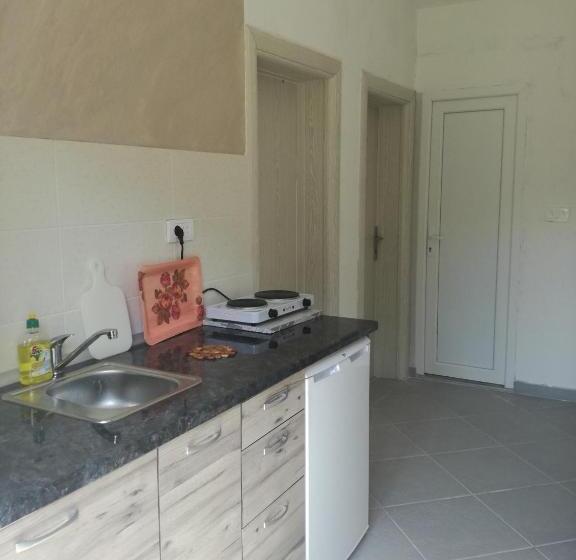 اتاق استاندارد با سرویس بهداشتی مشترک, Apartments Stevanovic