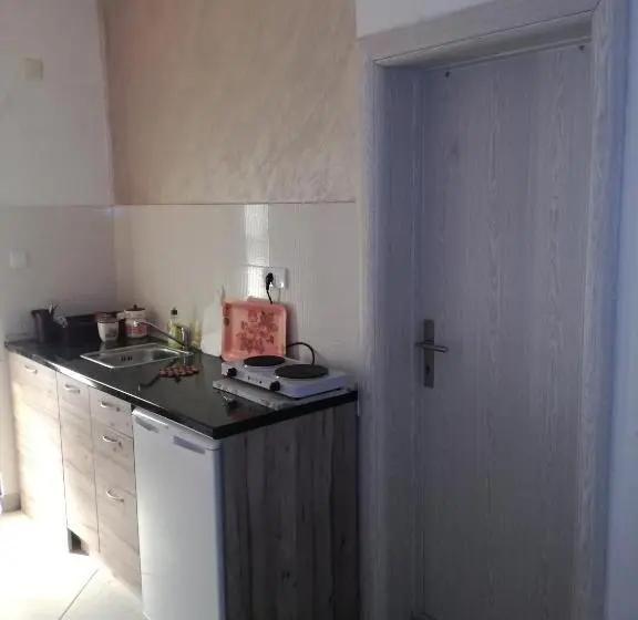 اتاق استاندارد با سرویس بهداشتی مشترک, Apartments Stevanovic