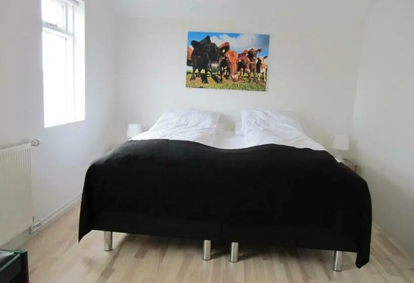 اتاق اکونومی با حمام مشترک, Grand Inn Bar And Bed