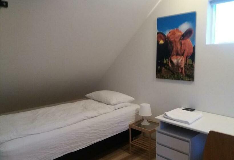 Economy Room Shared Bathroom, Grand Inn Bar And Bed