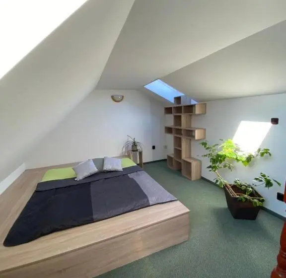 １ベッドルームドゥプレックスアパートメント, Guest House Na Kope Ku