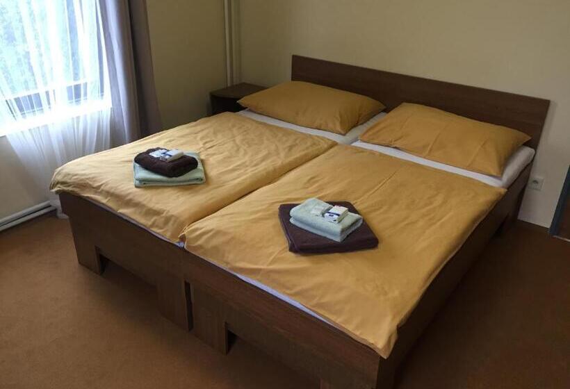 带2个卧室的套房, Penzion Eden Turnov