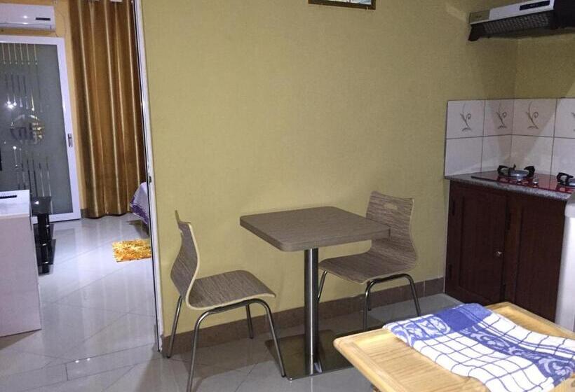 استودیوی استاندارد, Niv Villa