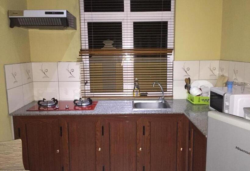 استودیوی استاندارد, Niv Villa