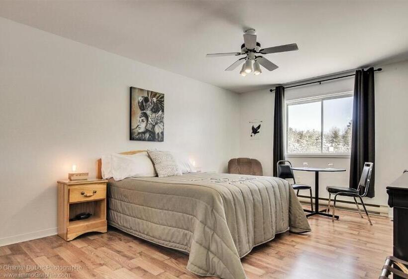 高级大房间, Auberge Motel Drakkar