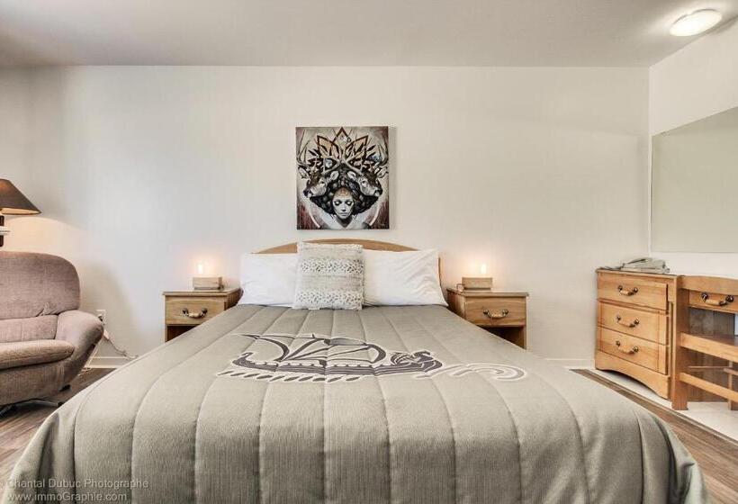 高级大房间, Auberge Motel Drakkar