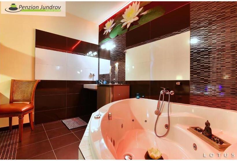 اتاق لوکس با وان آب گرم, Penzion Vanessa