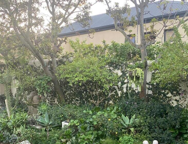 스탠다드 룸 킹사이즈 침대, Sweet Dreams Guest House