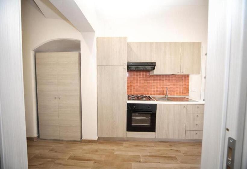 스탠다드 스튜디오, Plaia Resort