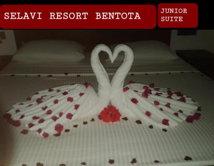 غرفة قياسية مزوَّدة بتراس, Selavi Resort Bentota