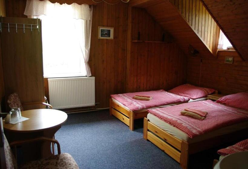 스탠다드 룸 공동 욕실, Penzion U Lebedů