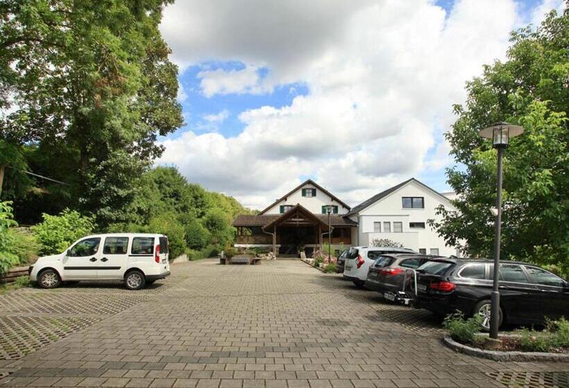 Quarto Estandar Individual, Pension Arzberghof