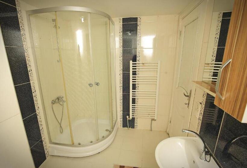 شقة ديلوكس غرفة نوم واحدة, Ozkanlar Apart