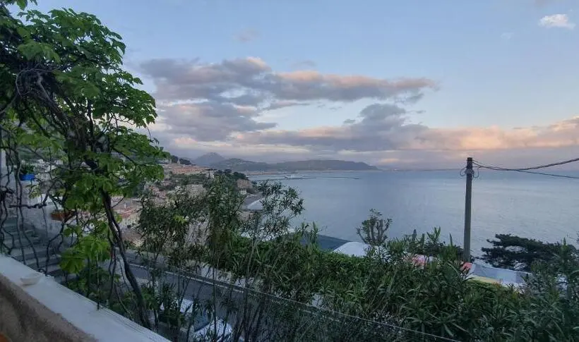 اتاق استاندارد با تخت بزرگ, B&b Fish