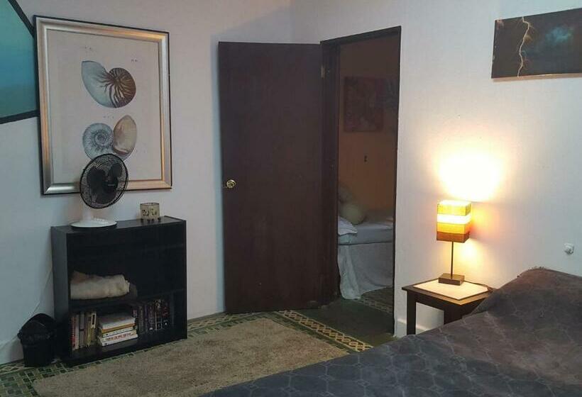 اتاق استاندارد, Medusa's Hostel