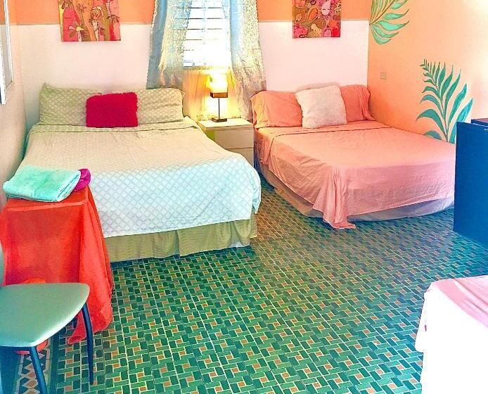 خانه 1 خوابه, Medusa's Hostel